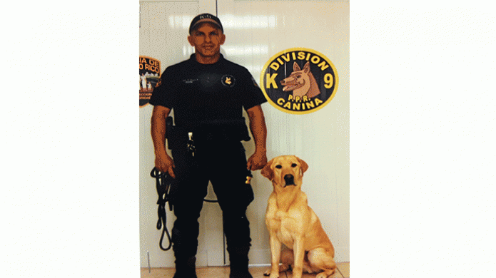 Muere Can de la policÃ­a durante la despedida del aÃ±o, por ruidos de pirotecnia