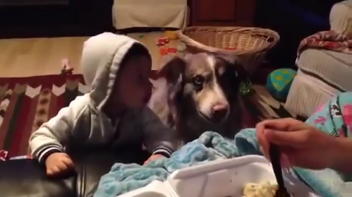 Perro dice 'mamÃ¡' antes que pequeÃ±o