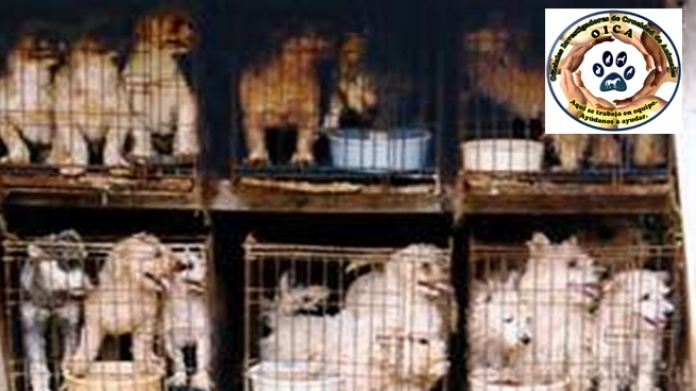 Articulo 17, de la Ley 154, Ley para el bienestar y protecciÃ³n de los animales.