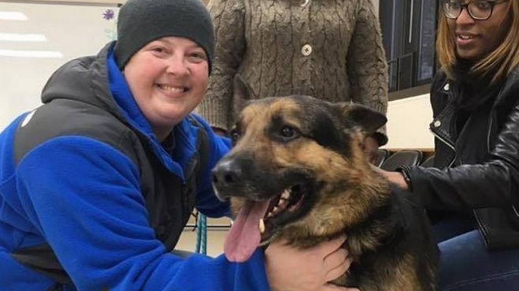  Despues de tres años desaparecido, perro se reúne con su dueña 