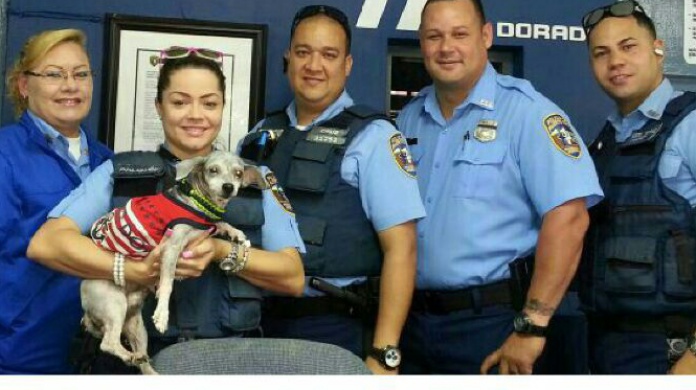 Policias rescatan perrita en carretera de Dorado