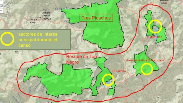 Primer censo de aves del Bosque de Toro Negro y sus comunidades vecinas