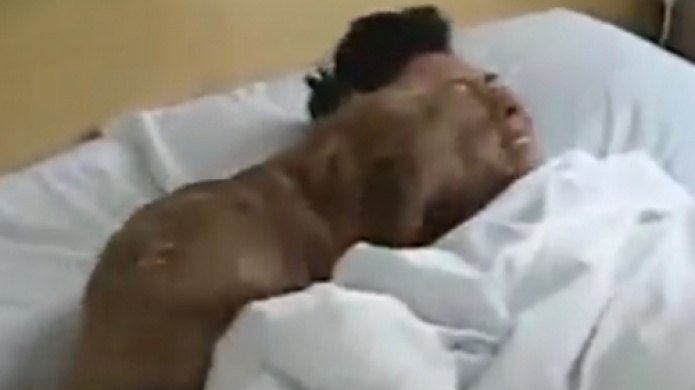 Video: Esto pasa cuando tu despertador tiene 4 patas y ladra 