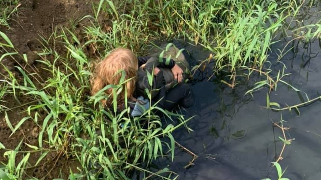  Fotos: Rescatan bebe manatí en Loíza 