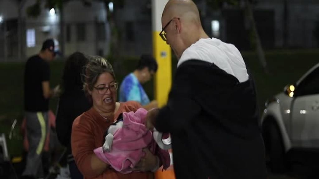  Video: Auxilian a animales de las zonas afectadas por la actividad sísmica 