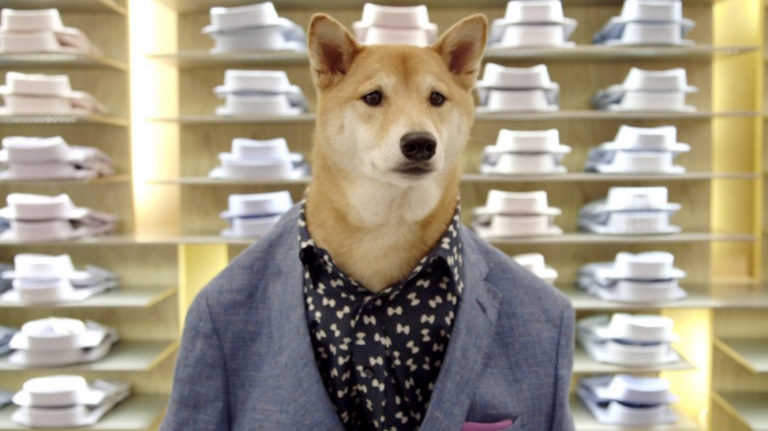 Un perro, el mejor amigo del hombre... en cuestiones de moda