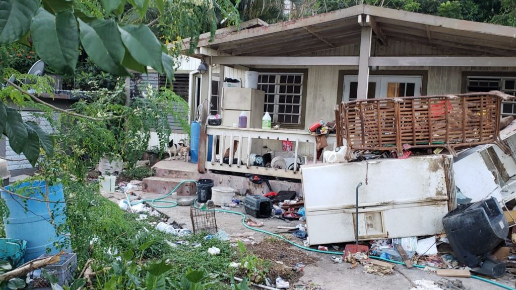  Video: Operativo en Bayamón para rescatar mas de 50 perros abandonados en una residencia 
