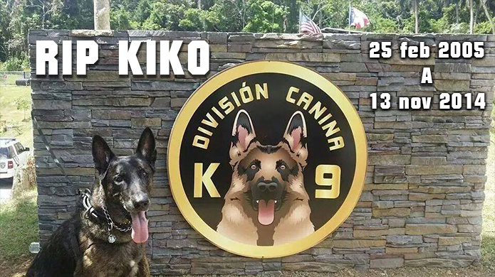 Muere el Agente KiKo (K-9)