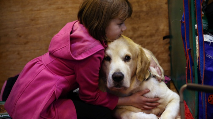 Si una persona te cae mal, a tu perro tambiÃ©n, segÃºn estudio