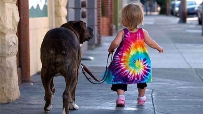 3 Razones Por Las Que DEBES Pasear a Tu Perro