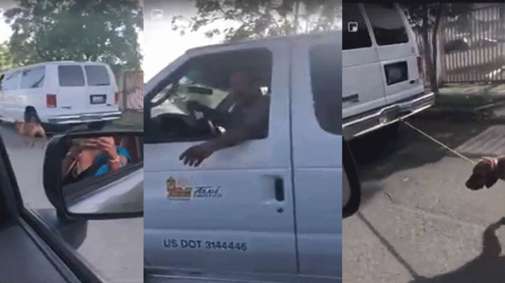  Video: ciudadanas denuncian abuso a un perro por parte de un taxista 