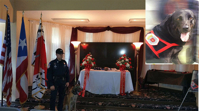 Video: Emotivo  funeral con honores a un "Can" de la policÃ­a en Carolina 