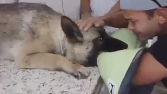 Video Muestra el Amor que puede llegar a sentir un Hombre por un Perro