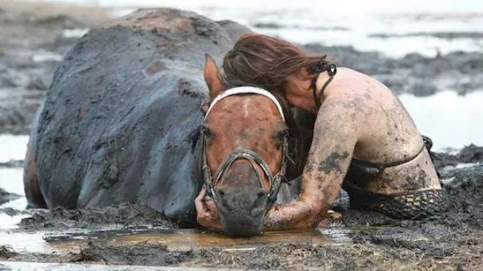 Una mujer pasÃ³ tres horas abrazada a su caballo mientras el animal se hundÃ­a en el barro