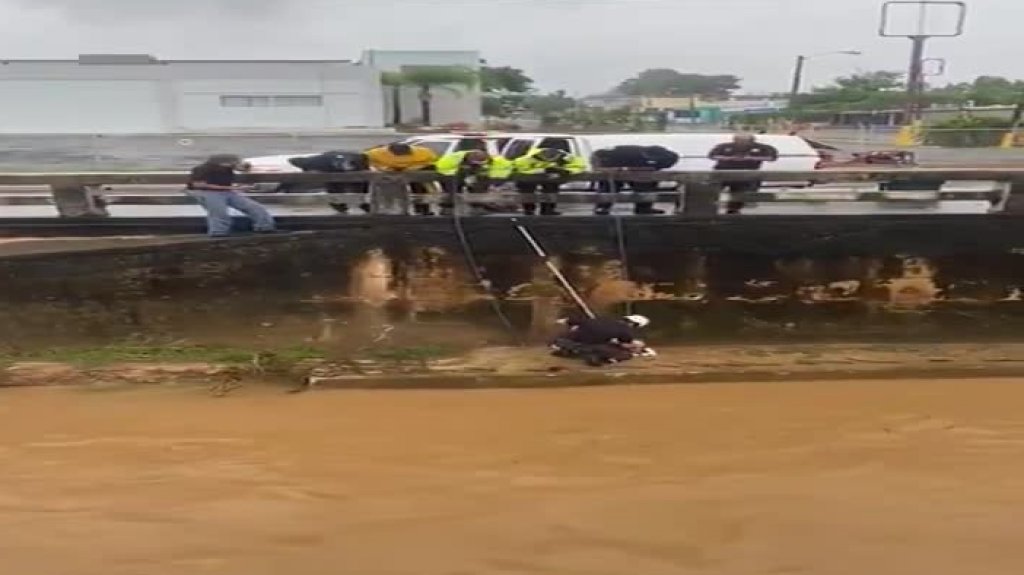  En video el rescate a un perrito en una quebrada en Bayamón 