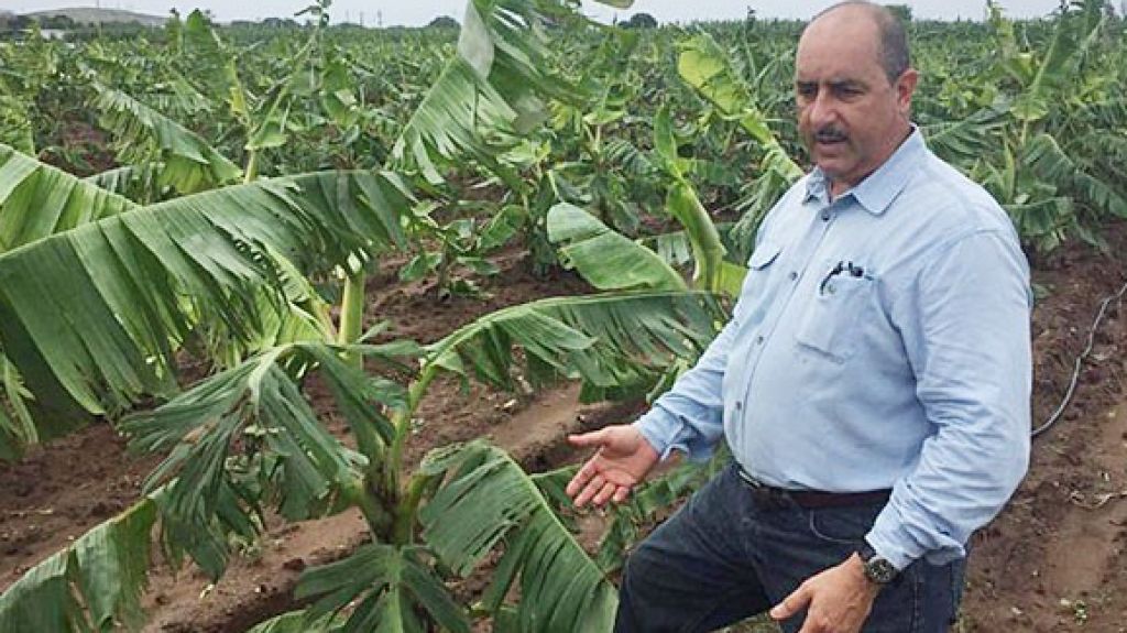  Departamento de Agricultura anuncia cambios en la normativa de pago a ganaderos 