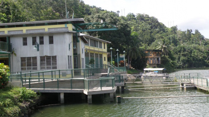 REPORTAN EXPLOSION EN LA  HIDROELECTRICA DE DOS BOCAS EN ARECIBO 