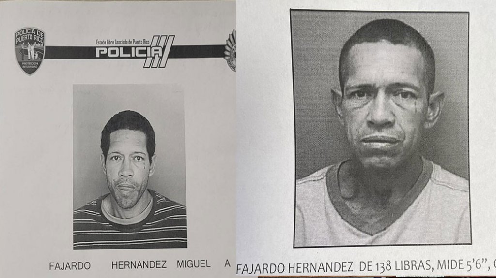  Se Busca por violencia domestica en Guayama 