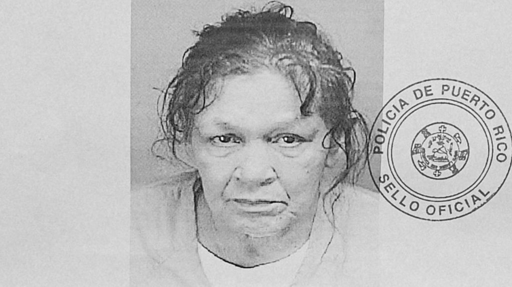  Radican cargos por fraude bancario a mujer en Bayamón 