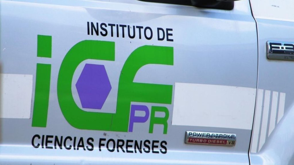  Investigan hallazgo de aparentes &oacute;rganos humanos en Naranjito 