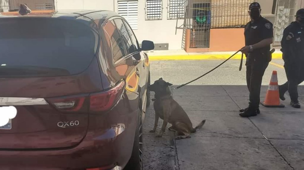  Fotos: Can de la polic&iacute;a &ldquo;le da un palo&rdquo; a narcos en Llorens torres, ocupan armas, municiones, coca&iacute;na y marihuana 