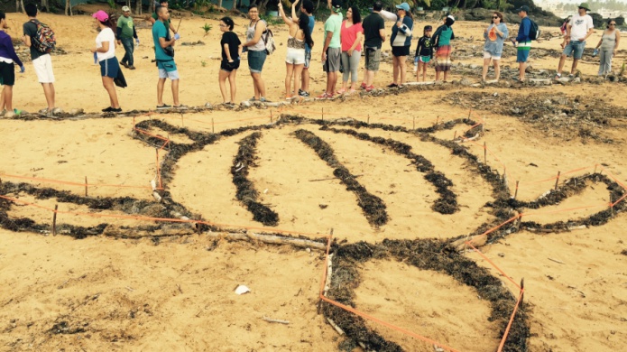 MÃ¡s de 100 voluntarios participan en 
limpieza de playa como parte del
Quinto abrazo al Corredor EcolÃ³gico del Noreste
