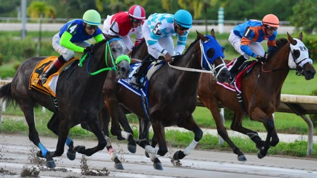  C&aacute;mara de Representantes investigar&aacute; industria h&iacute;pica 