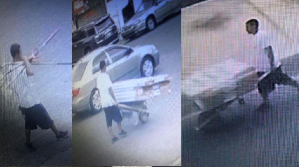 Doctora de Vega Baja publica video de un hombre que roba las puertas de su oficina 