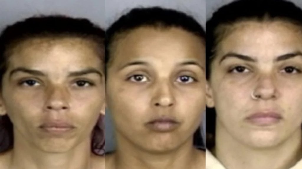  Tres mujeres arrestadas por destrozar veh&iacute;culo tras alegado atropello de un perro en Bayam&oacute;n 