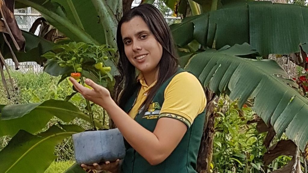  Una estudiante de PES produce alimento orgánico para las plantas 