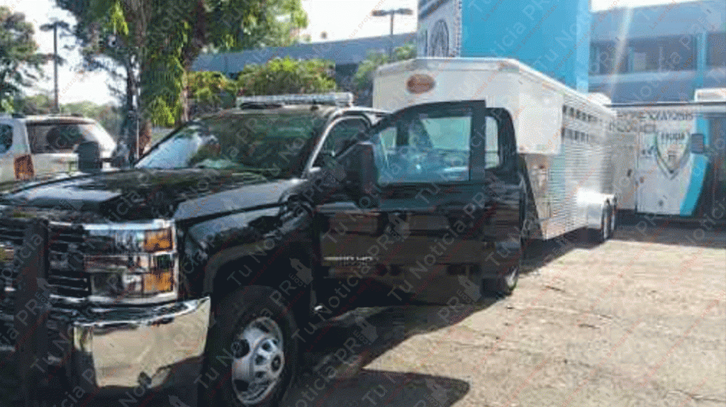  Tribunal ordena a Yul&iacute;n entregar guagua que compr&oacute; para la polic&iacute;a, pero nunca la pag&oacute; 