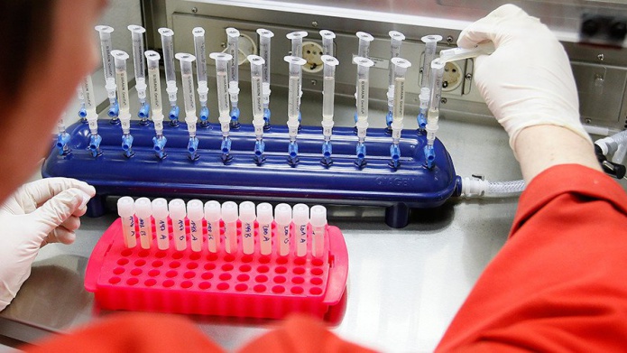 Crean un fÃ¡rmaco que "hace desaparecer" a las cÃ©lulas cancerosas