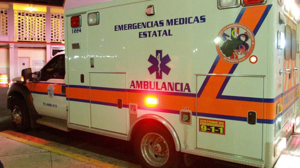  Un perro muerde en la cara a una menor en Adjuntas 