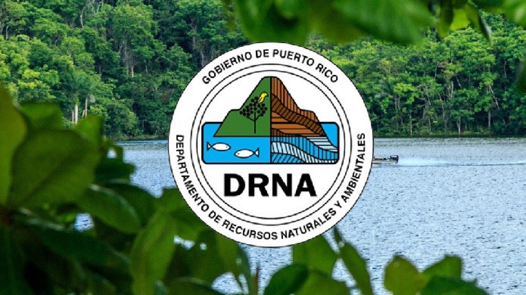  Extiende Recursos Naturales hasta enero vigencia de licencias, permisos y marbetes 