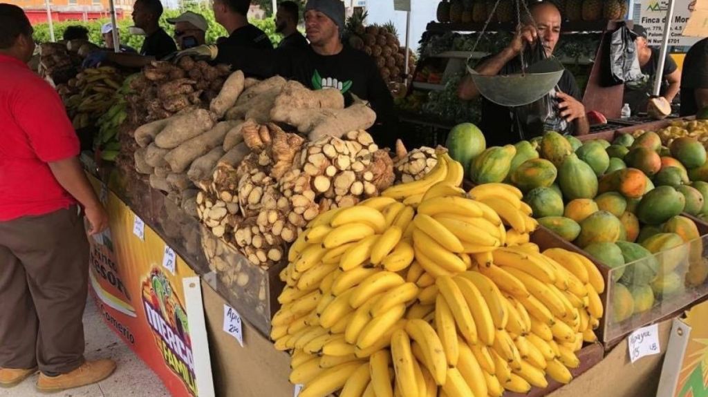  Representante del PNP pide la reapertura de los mercados familiares 