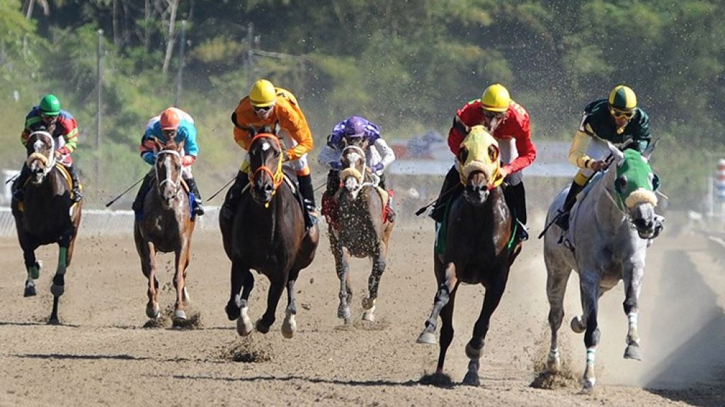  Criadores y fan&aacute;ticos solicitan la reapertura de las carreras de caballos 