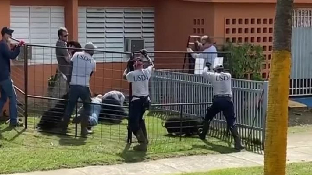  Video: Federales realizan operativo contra &ldquo;lechones&rdquo; en residencial de San Juan 