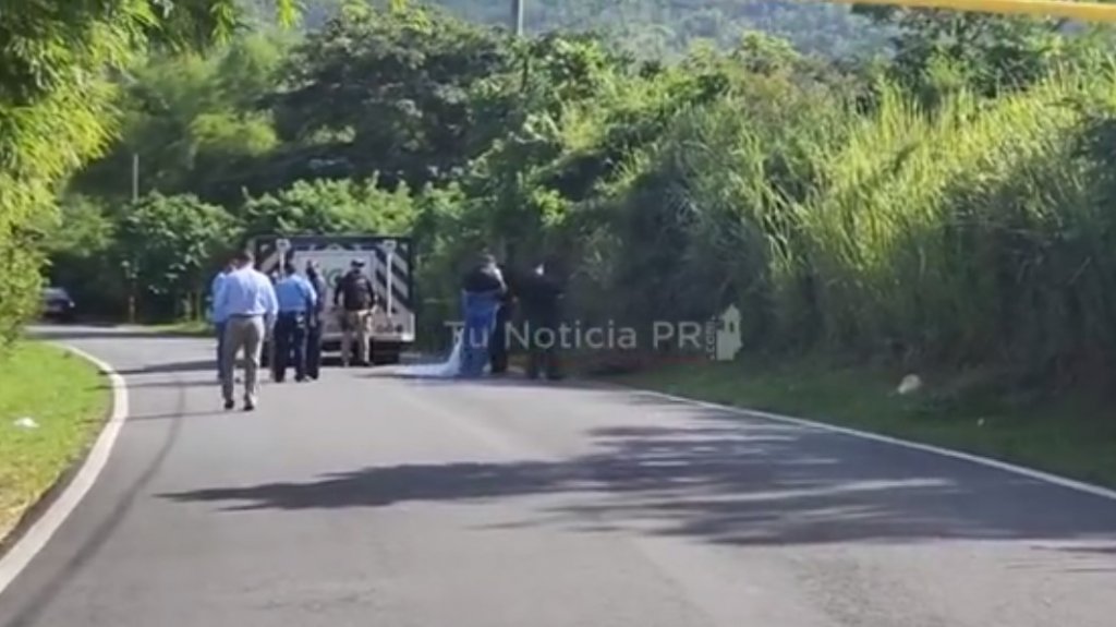  Video: Identifican hombre asesinado en Gurabo 