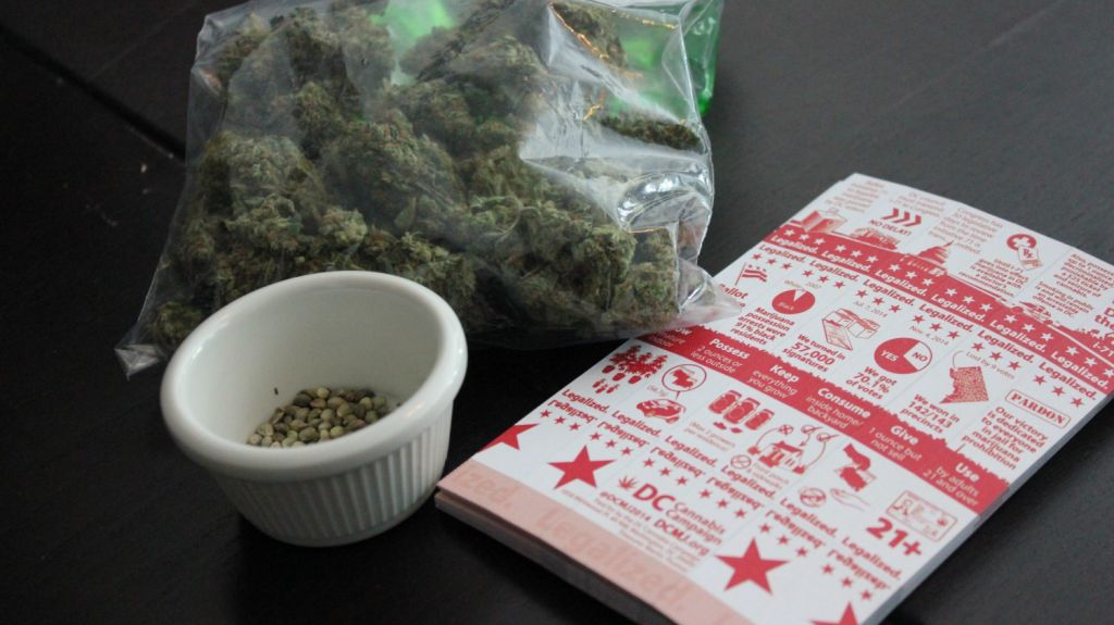  Accidentes fatales que involucran marihuana aumentan en estado de Washington 