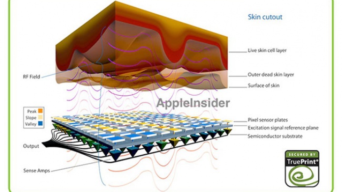 Apple prepara una actualizaciÃ³n para el iPhone 5s que mejorarÃ­a la precisiÃ³n de Touch ID