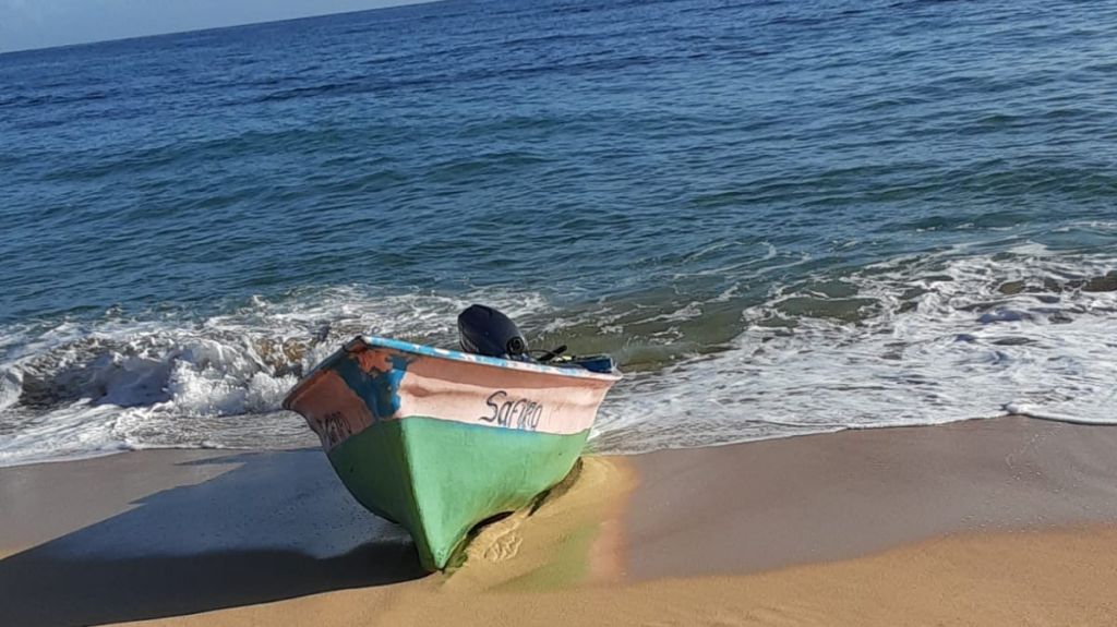  Patrulla Fronteriza y FURA detienen a 17 indocumentados dominicanos en el campo de golf de Ramey 