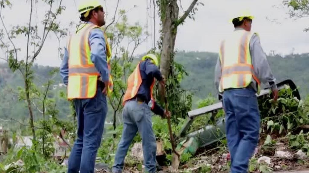 Video: Empleados de la AEE suben un poste a mano por que el camiÃ³n no llegaba 
