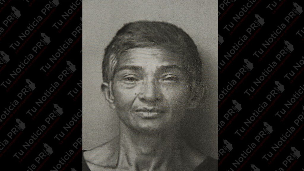  Arrestan en Arecibo a &ldquo;Do&ntilde;a de 53 a&ntilde;os que ten&iacute;a pendiente una orden de arresto 