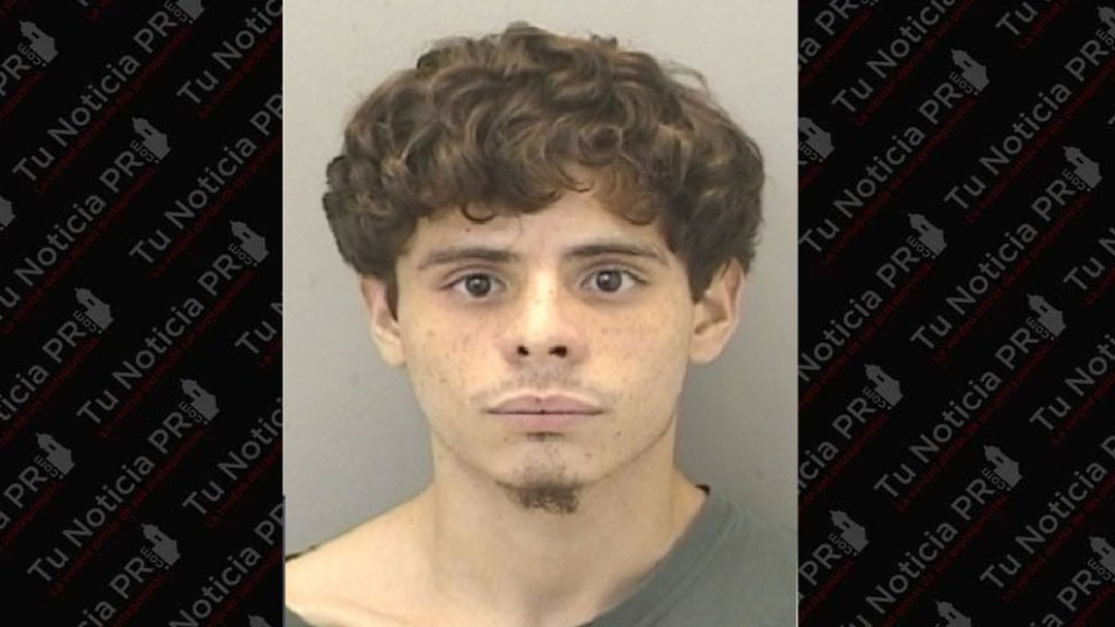  Arrestan a &ldquo;Piri&ldquo; en Caguas por enviarle mensajes de texto habl&aacute;ndole malo a su madre adoptiva 