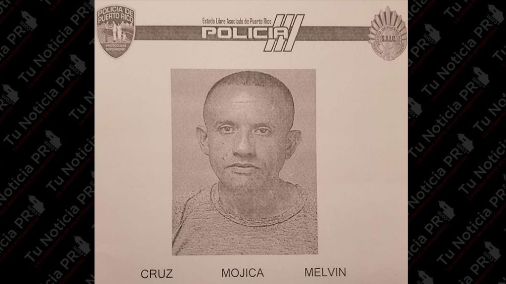  Arrestan hombre que era buscado por ley 54 en Naguabo 