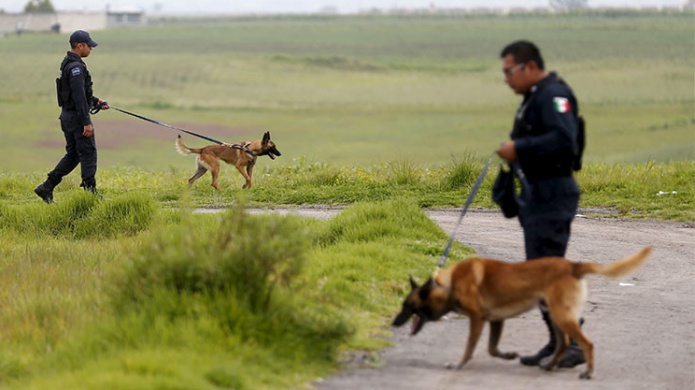 Aseguran que funcionarios mexicanos trabajan del lado del narco mÃ¡s poderoso del mundo
