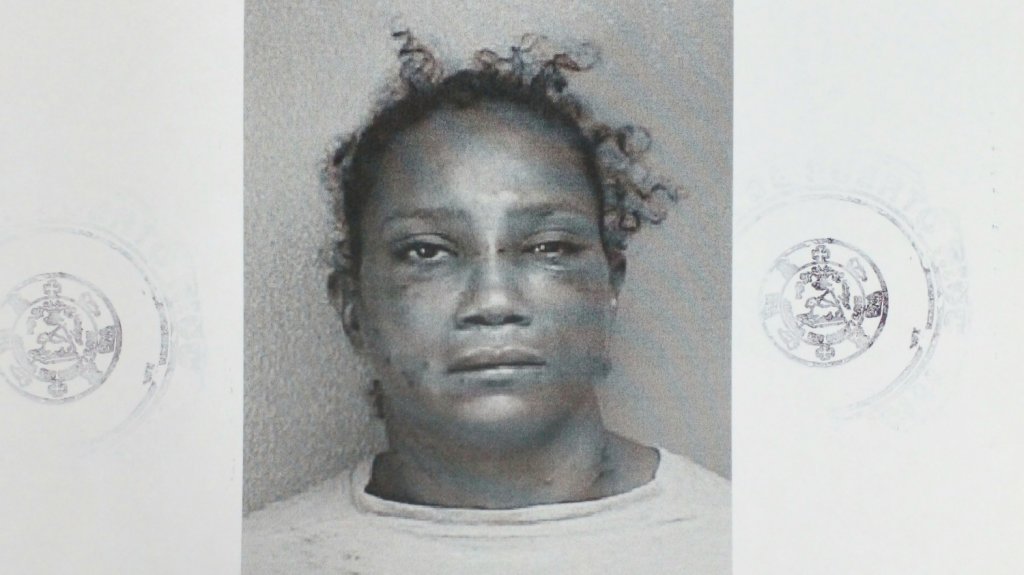  Mujer acusada de tentativa de asesinato y violaci&oacute;n a la Ley de Armas en Vega Baja 