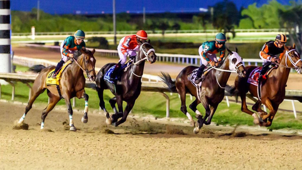  Impulsan investigaci&oacute;n sobre el estado de la industria de los juegos de azar en el pa&iacute;s, incluyendo carreras de caballo y loter&iacute;a 