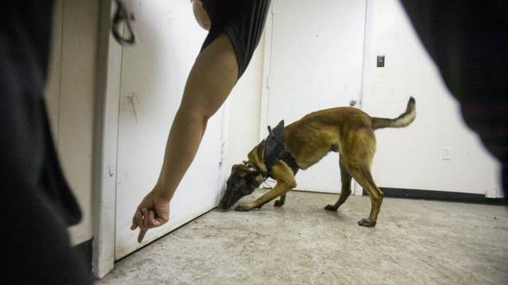 Cuadro de Hillary Clinton provoca alerta de seguridad en Art Miami (FOTO)