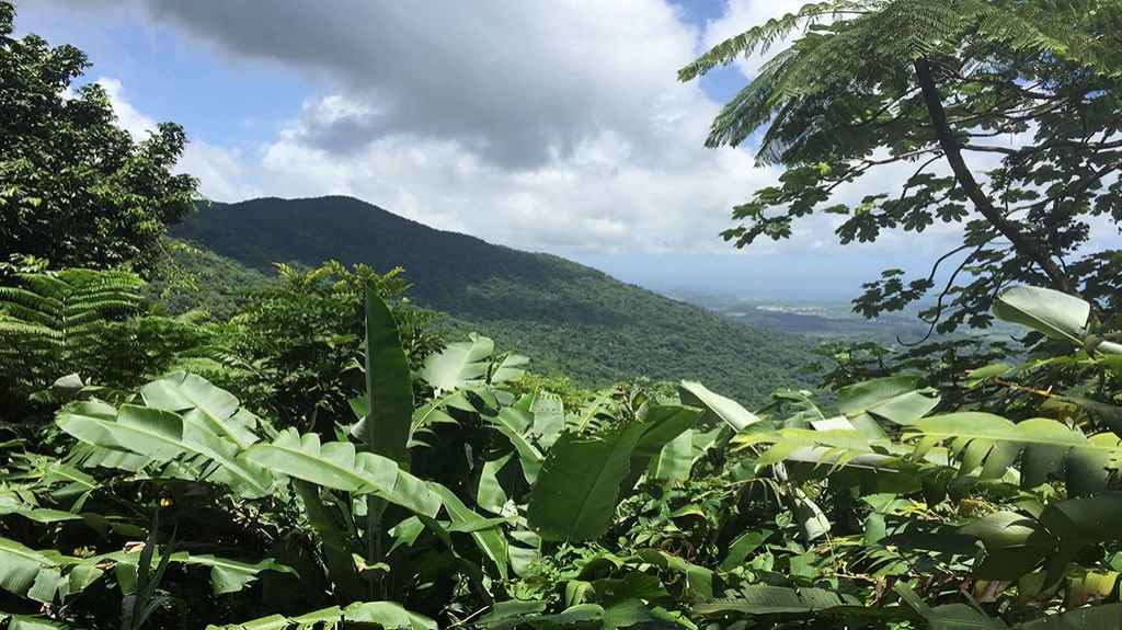  Suman 10 cuerdas de terreno al Bosque Nacional El Yunque 